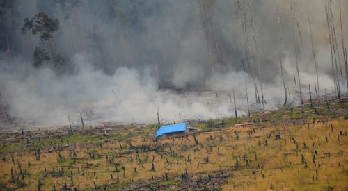 Sempat Padam, Kini Api di Cagar Biosfer Giam Siak Kecil Kembali Membara