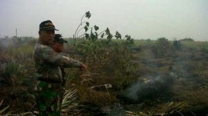 GoRiau Cuaca Kering Kembali Landa Riau, 348 Titik Api Muncul