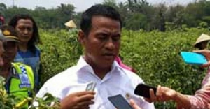GoRiau Harga Karet Terus Anjlok, Mentan Janji Selesaikan