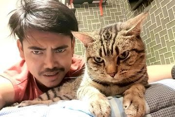 Hasil Riset: Kucing Cenderung Meniru Kepribadian Pemiliknya