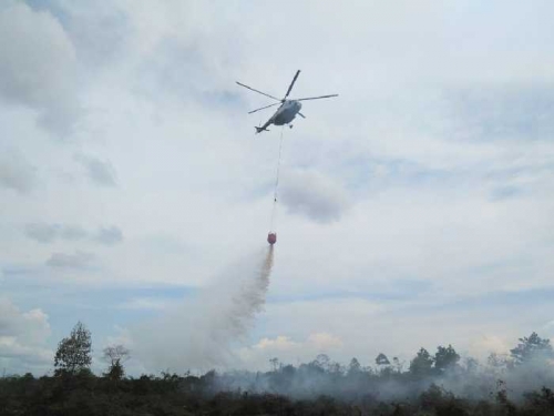 13 Titik Panas Muncul di Riau Sehari Setelah Kedatangan Presiden RI Jokowi