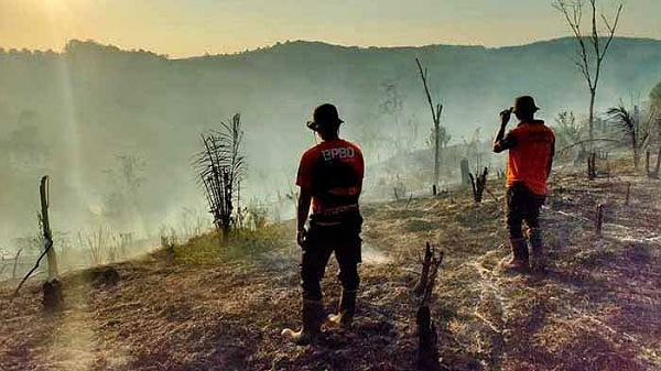 Meningkat, Karhutla di Kampar Hanguskan Lahan 139,4 Hektare hingga Juli 2022