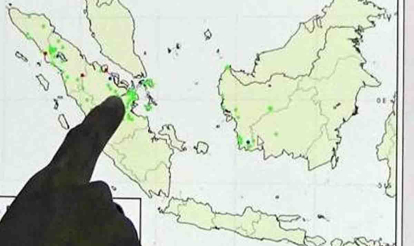 GoRiau Cuaca Cerah Berawan dan Kabut Dominasi Riau, 207 Titik Panas Terdeteksi