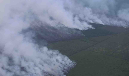 GoRiau Menkopolhukam Desak Percepatan Penanganan Karhutla Riau, Malaysia dan Singapura Protes