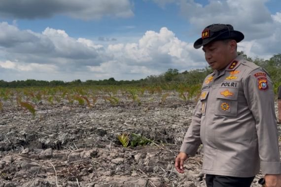 115 Hektare Mangrove Rokan Hilir Dirusak Alat Berat, Kapolda Riau Buru Pelaku Kejahatan Ekosistem