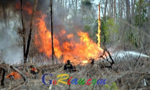Karlahut di Riau Makan Korban, Woro Supartinah: Miris Pratu Wahyudi Tewas Saat Padamkan Kebakaran di Rokan Hilir