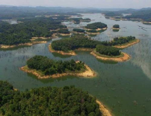 Puncak Objek Wisata Ulu Kasok Kembali Selamat dari Jilatan Api