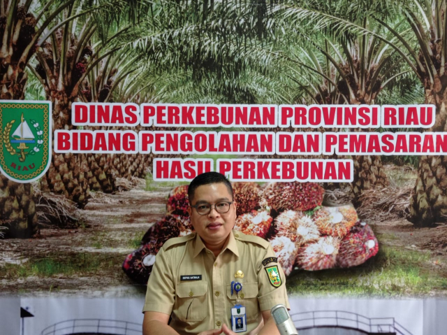 Mantap, Harga TBS Sawit di Riau Naik Lagi, Tembus Rp2.804,02 per Kg