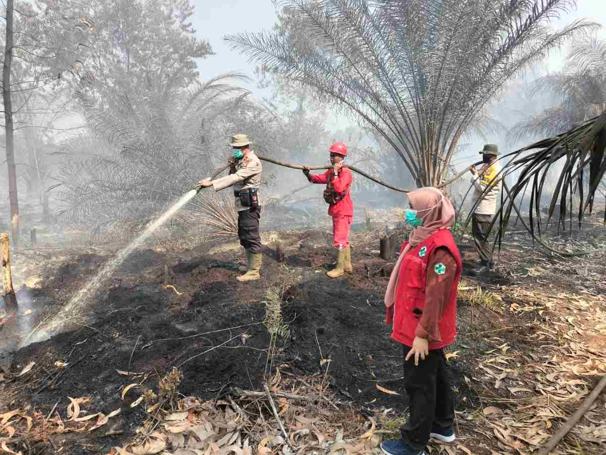 Kebakaran Lahan di Tanjung Leban Bengkalis, Tim Gabungan Berhasil Padamkan Titik Api Utama