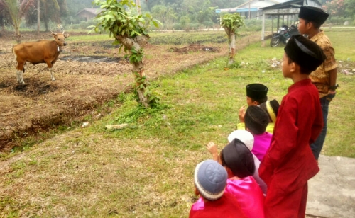 Sebelum Salat Idul Adha, Ini Biasanya yang Dilakukan Anak Kecil di Desa Mekong