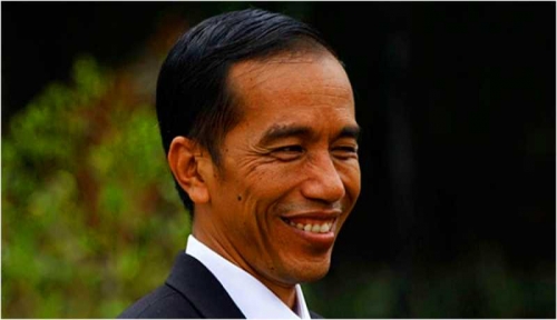 Dikabarkan Lewat Darat, Ini Kegiatan Presiden Jokowi di Kemuning Inhil