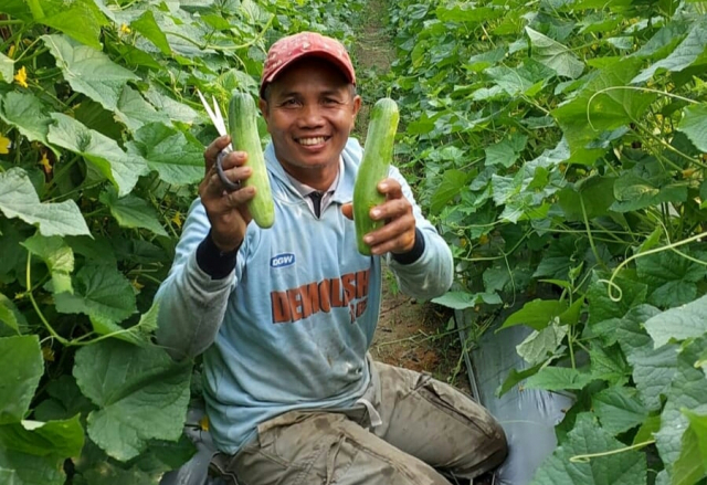 Bisnis Hortikultura Lebih Untung dengan Bantuan PT Ekadura Indonesia