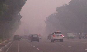 GoRiau BNBP: 43 Juta Jiwa Terpapar Asap, 10 Tewas dan 503.874 Orang ISPA