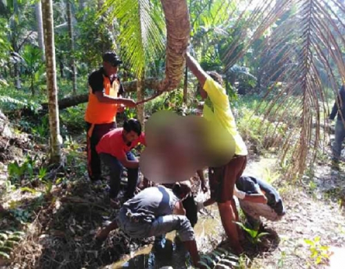 Kapolres Akui Salah Satu Anggota Polsek Sempat Lakukan Pemukulan ke Pria yang Tergantung di Pohon Kelapa