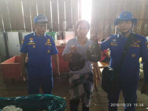 Ditpolairud Polda Riau Gagalkan Penyelundupan 1.500 Belangkas dari Rohil ke Malaysia