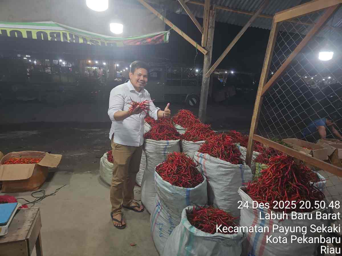 Amankan Stok Pangan Saat Nataru, Pemprov Riau Datangkan 1 Ton Cabai dari Aceh