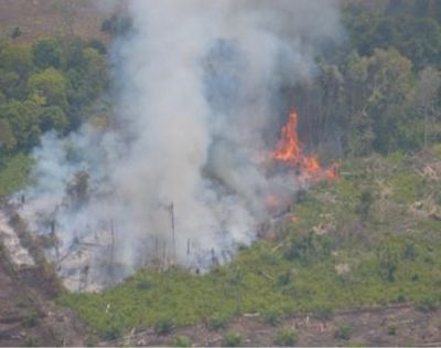 Sudah 24 Pembakar Lahan Riau Ditangkap, tak Satupun dari Perusahaan