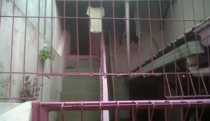 GoRiau Astaga, Pria Ini Kelola 120 Ribu Video Porno Anak, Pemerannya Berusia 11-12 Tahun