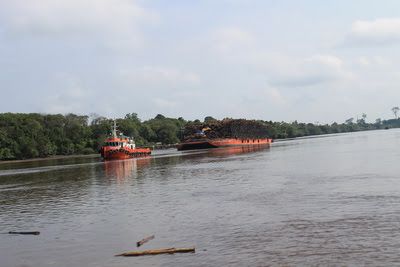 Kotor dan Berminyak, 4 Sungai Besar di Riau Sudah Rusak Berat