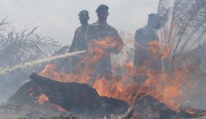 GoRiau 7 Tersangka Pembakar Hutan di Riau Segera Disidang