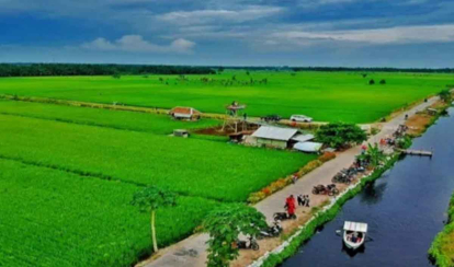 GoRiau Petani Bungaraya Siak Diminta Tingkatkan Produksi Padi Beras