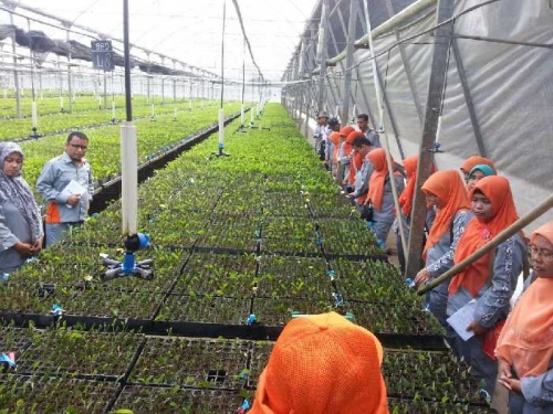 Guru SMK Negeri di Riau Belajar Teknologi Pembibitan di RAPP