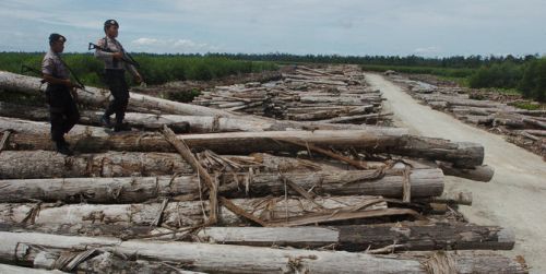 Polda Riau Gagalkan Penyeludupan 5 Ton Kayu Ilegal Logging