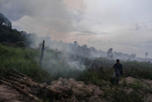 GoRiau Lingkungan tidak Sehat, Anak Riau Belum Terbebas dari Polusi Asap, Gubernur Seharusnya Melindungi