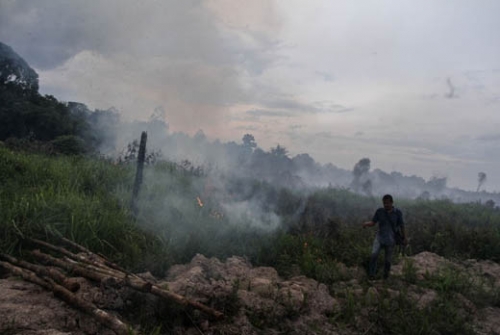 Lingkungan tidak Sehat, Anak Riau Belum Terbebas dari Polusi Asap, Gubernur Seharusnya Melindungi