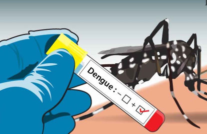 GoRiau Kasus DBD di Riau Meningkat, Diskes Ingatkan Masyarakat Jaga Kebersihan dan 3M