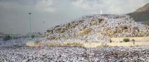 GoRiau 35 Jamaah Haji Indonesia Wafat di Arafah dan Mina Akibat Heatstroke dan Dehidrasi