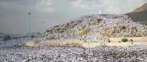 35 Jamaah Haji Indonesia Wafat di Arafah dan Mina Akibat Heatstroke dan Dehidrasi
