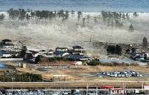 GoRiau Kisah Ajaib Saat Tsunami Aceh, Bidan Kampung Diselamatkan Ular Sebesar Pohon Kelapa