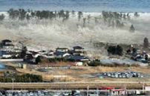 Kisah Ajaib Saat Tsunami Aceh, Bidan Kampung Diselamatkan Ular Sebesar Pohon Kelapa