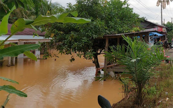 Ratusan Rumah Warga di Rohul Terendam Banjir