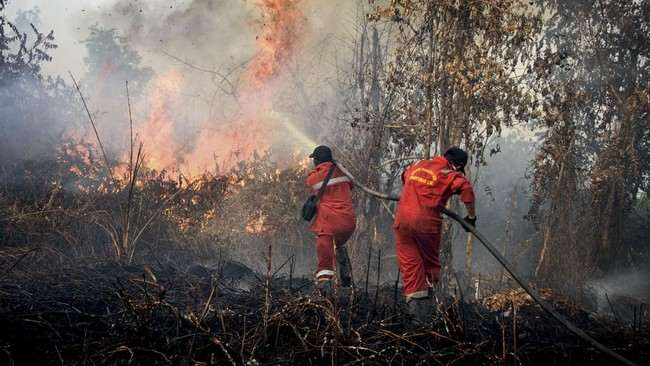Awal Musim Panas di Riau, Tiga Kabupaten Mulai Dilanda Karhutla