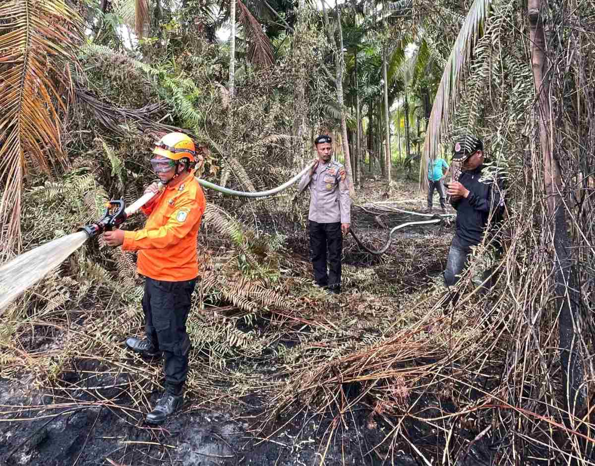Karhutla Awal Tahun, Lahan di Kedaburapat Hangus Dilalap Api