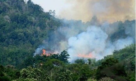 Riau Butuh Hujan Buatan untuk Padamkan Kebakaran Hutan