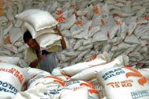 GoRiau Warga Beralih ke Sawit, Riau Akhirnya Kekurangan 415.000 Ton Beras Per Tahun