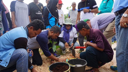 Warga Pelalawan Manfaatkan Lahan untuk Tanam Pohon