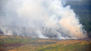 GoRiau 3.000 Personil Gabungan Dikerahkan Padamkan Api di Riau