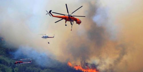 Hari Ini, Satgas Udara Lakukan 346 Pemboman Air di Riau, Hasilnya Hujan di 6 Daerah
