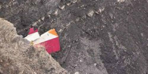 Kopilot Diduga Sengaja Tabrakkan Germanwings ke Gunung