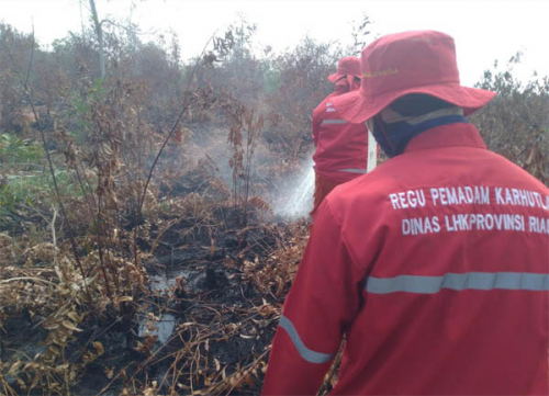 Di Saat Mewabahnya Corona, Regu Pemadam Karhutla DLHK Riau Terus Berjibaku Padamkan Api di Dumai Agar Asap tak Muncul