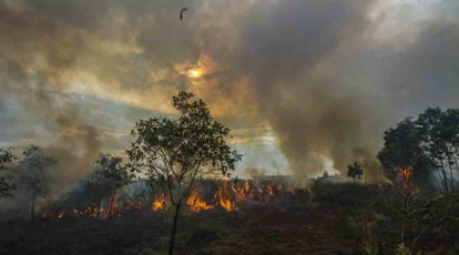 GoRiau Pekanbaru Siagakan Personel Antisipasi Kebakaran Lahan