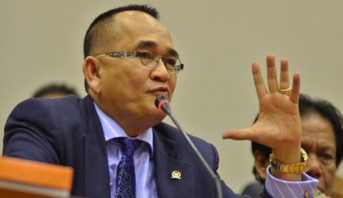 Waduh, Kata Ruhut: Jokowi RI-4, Megawati RI-1
