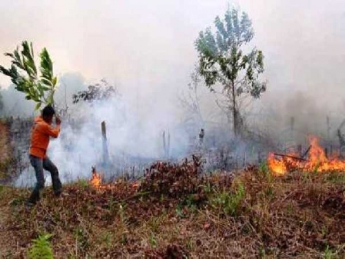 GoNews.co Titik Panas Mulai Muncul di Riau, Satgas Karhutla Lakukan Antisipasi