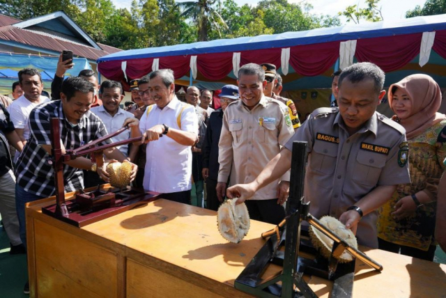 FOTO: Begini Semaraknya Pesta Durian Bersama Gubernur Riau di Bantan Bengkalis