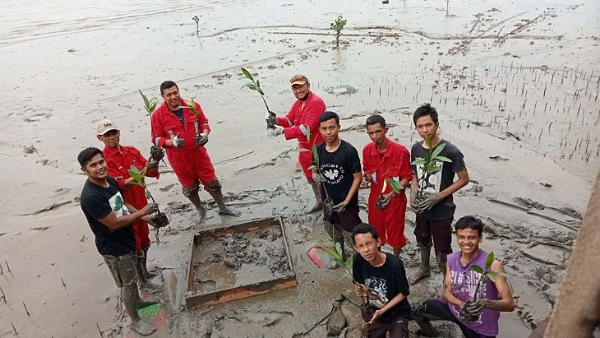 Gandeng Pelajar, PT ITA Kerjasama Kelompok Konservasi Tanam 1.000 Bibit Mangrove di Teluk Belitung