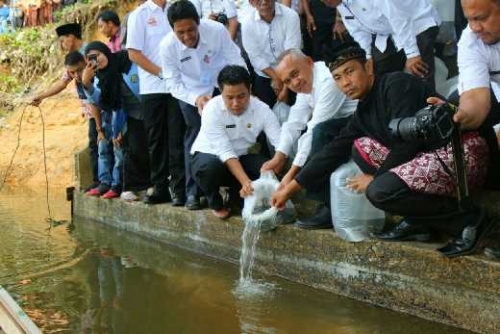 Jokowi Tertarik Budidaya Ikan di Kampar, Ini Penjelasan Gubernur Riau